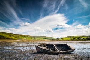 Fixing the Leaky Boat Reed Holden article