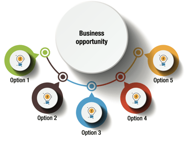 Business Opportunity Options-2